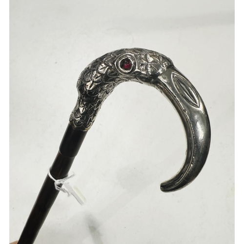 225 - A 19th Century lady's walking cane with white metal loop handle in the form of a hornbill, 87cm.