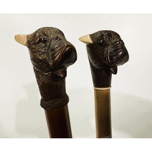 167 - An early 20th Century stick with carved wood finial of a bulldog with 'jaw clicker', 90cm, and anoth... 