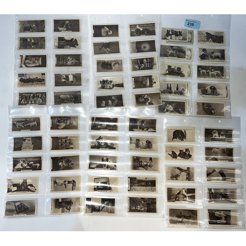 238 - A collection of vintage J Millhoff De Reszke animal cards (set of 27)