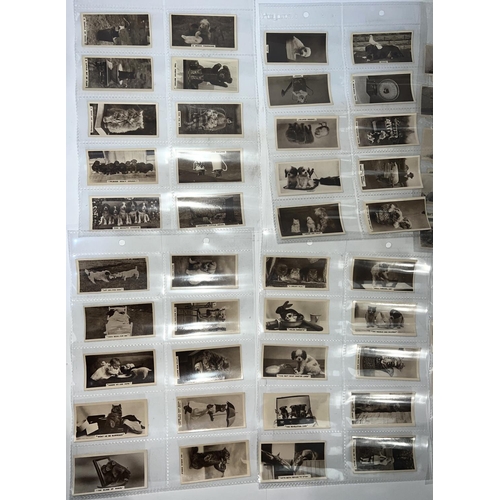 238 - A collection of vintage J Millhoff De Reszke animal cards (set of 27)