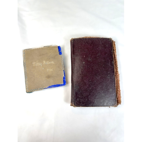 141 - LACE TATTING - a 19th century album with 40+ sample pieces of tatting and a similar album with 30+ e... 