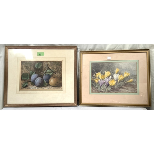 Lot 23        