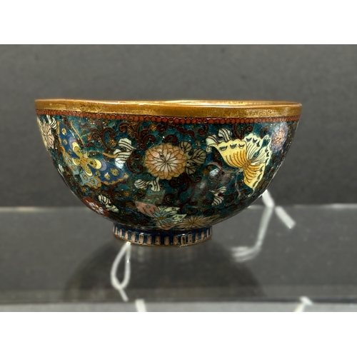 558 - A Japanese cloisonné tea bowl, late 19th century, finely decorated with butterflies on blue aventuri... 