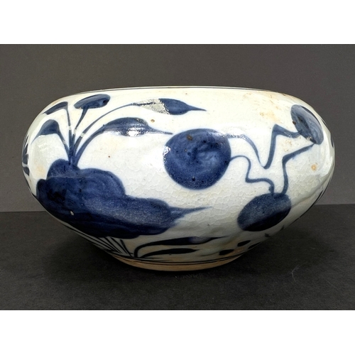 Lot 568       