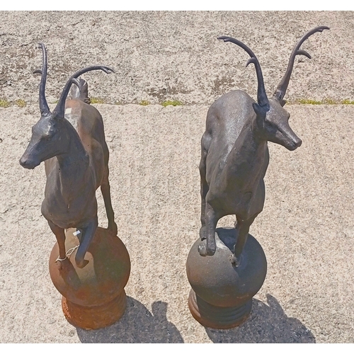 Lot 850       