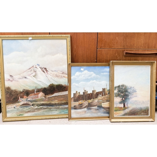 Lot 7         