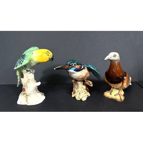525A - Beswick, figure of a Parakeet, figure of a pigeon, other similar birds a.f