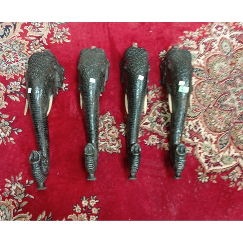 Lot 876       