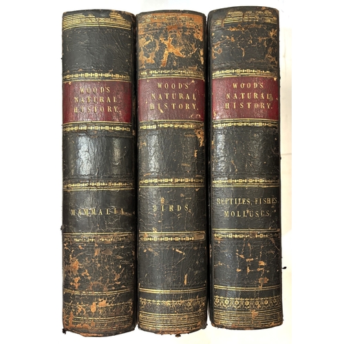 61 - J G Wood, three 19th century part leather bound volumes of National History; a pair of binoculars in... 
