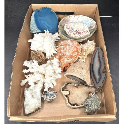 Lot 26        