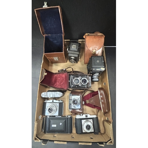 Lot 6         