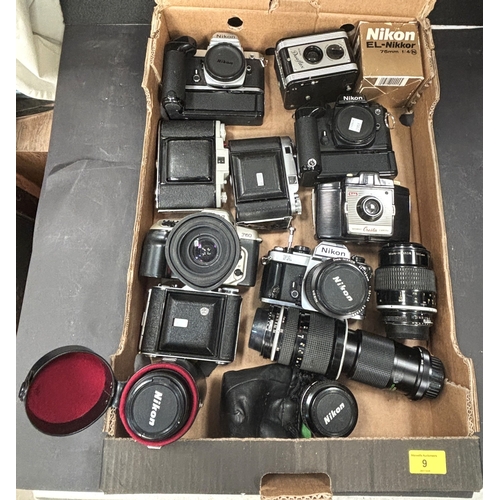 Lot 9         