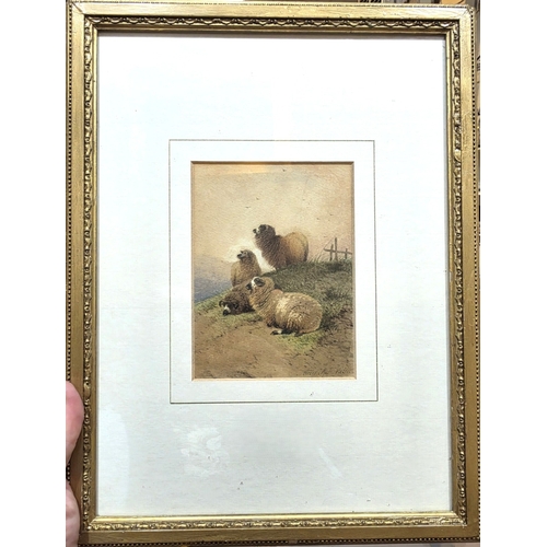 Lot 50        