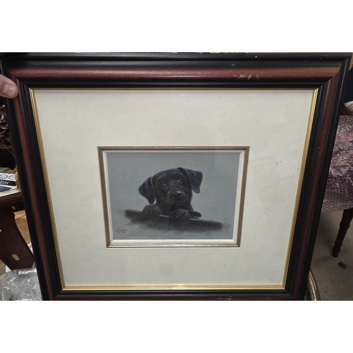 Lot 41A       