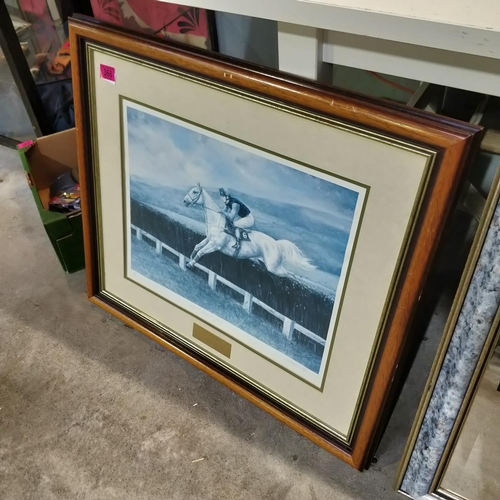 366 - Large Framed Ltd Edt Desert Orchid