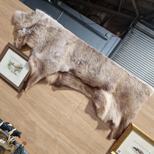613 - Reindeer Fur/Rug