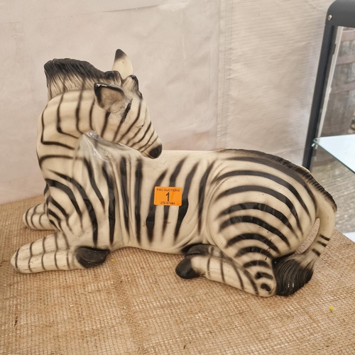 1 - Ornamental Zebra (Slight Damage)