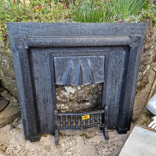 1433 - Regency Style Cast Iron Fire Insert