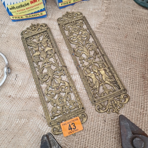 43 - Pair Of Ornate Brass Door Panels/Plaques