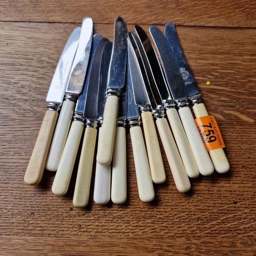 759 - Lot Of Bone Handled Knives