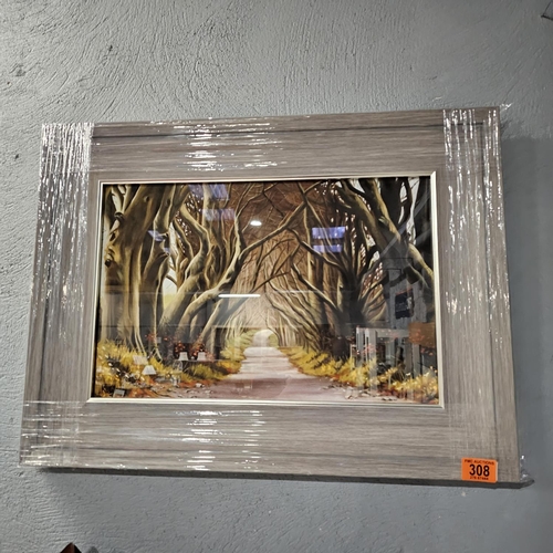 308 - Keith Glasgow  Canvas Print Dark Hedges