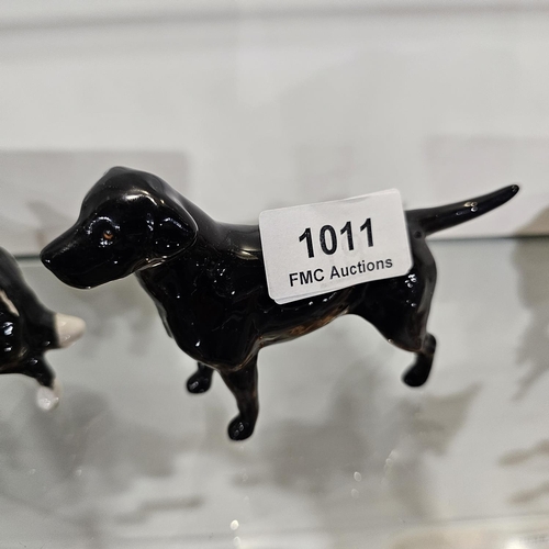 Lot 1011      