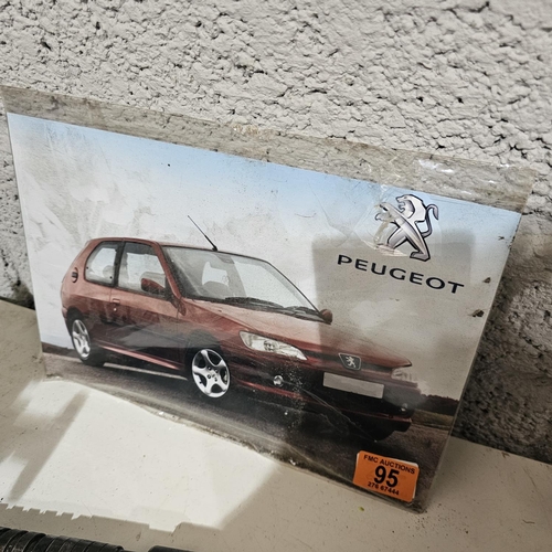 95 - Peugeot Sign