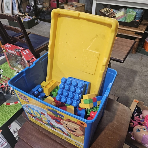 Lot 29        
