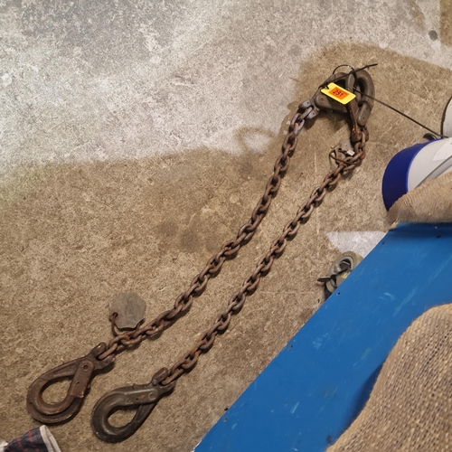 251 - Pair Of Lifting Chains