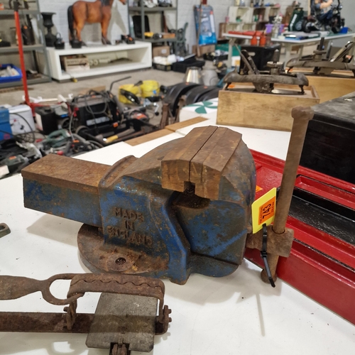Large Blue Vice