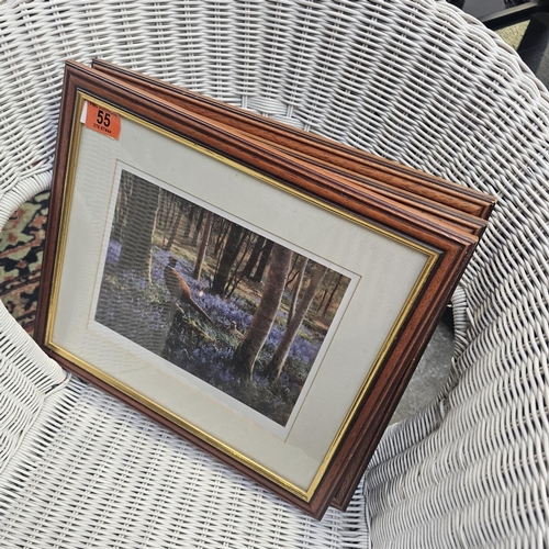 55 - 3 Wild/Games Birds Pictures