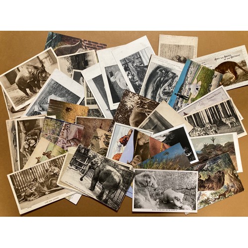 Postcards Animals, Farms, Pets and Zoos 440 Cards Real Photographs