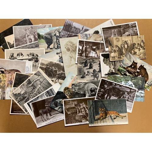 Postcards Animals, Farms, Pets and Zoos 440 Cards Real Photographs