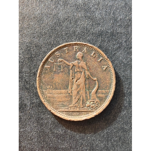 Lot 5         
