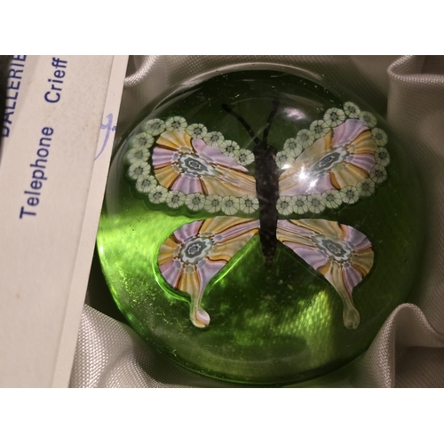 161 - Jay Glass paperweight. Millefiori Butterfly on translucent green. Striking! By John Deacons & Allan ... 