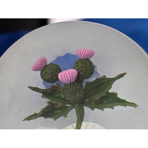 174 - Perthshire Paperweight: 1998C Thistle Wonderful lampworked 3-flower Thistle, oval shaped glass, with... 