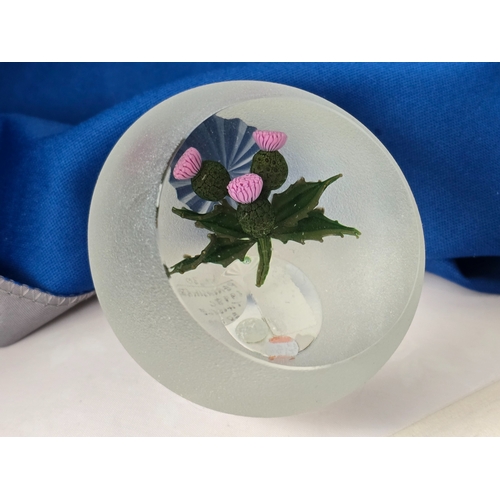 174 - Perthshire Paperweight: 1998C Thistle Wonderful lampworked 3-flower Thistle, oval shaped glass, with... 