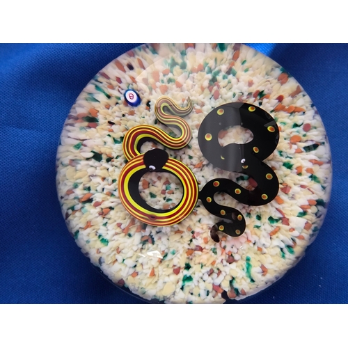 178 - Bob Banford paperweight - Duelling Snakes. Vivid striped and spotted lampworked snakes on light sand... 
