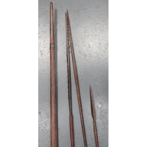 217 - South American Bow and Arrows
63 inch, polished, dark wood bow.  The lower end with slide on ba... 