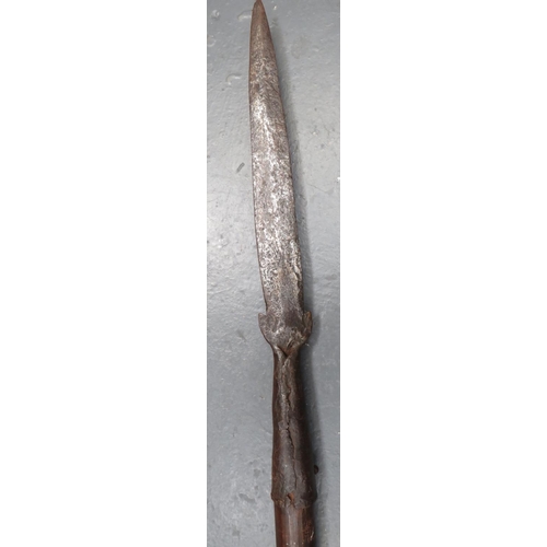 248 - 17th Century Partisan Pike
13 1/2 inch, double edged, heavy Damascus blade with lower, upward facing... 