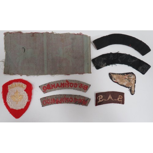 61 - Small Selection of Cloth Badges
including uncut pair of printed India Airborne Formation ... Embroid... 