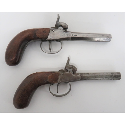 Pair of 19th Century Continental Trade Pocket Pistols
80 bore, 3 inch, octagonal barrels with continental proof stamps.  Flat side steel body.  Central percussion hammers. Steel trigger guards.  Polished wooden bag shape grips.  2 items.
