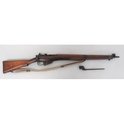 Lot 230       