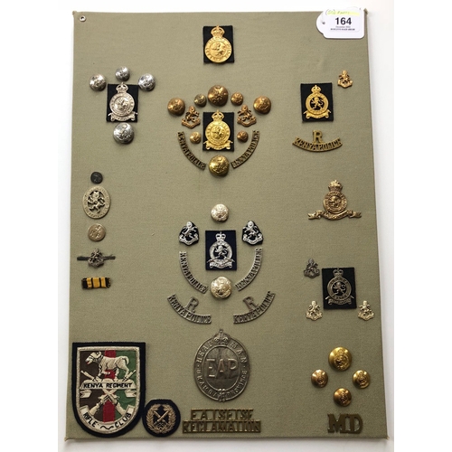 164 - Kenya Police 50 items of insignia.  Board with good display of mainly metal badges including East Af... 