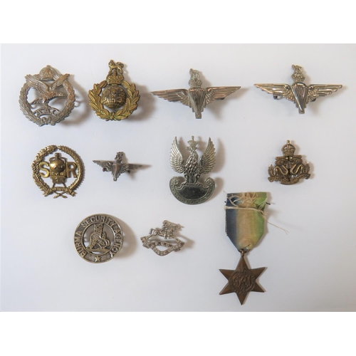 96 - Cap Badges Including Special Forces
including white metal, KC Parachute Reg ... White metal KC Army ... 