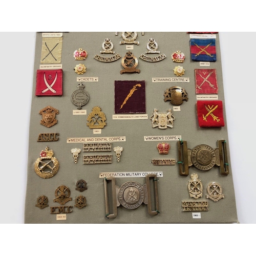 170 - Malaysian Army 49 items of insignia.  Board with good display of metal and cloth badges including tw... 