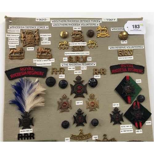 183 - Southern Rhodesia Defence Force, Rhodesia Regt.  54 items of insignia.  Board with good display of m... 