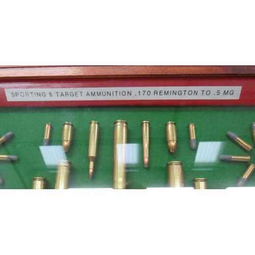 154 - Modern Display Of Sporting and Target Inert Ammunition
ornate display of inert ammunition from .170 ... 