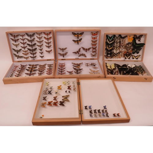 432 - Four Display Cases Of Butterflies And Moths
specialist wooden opening boxes containing a large quant... 