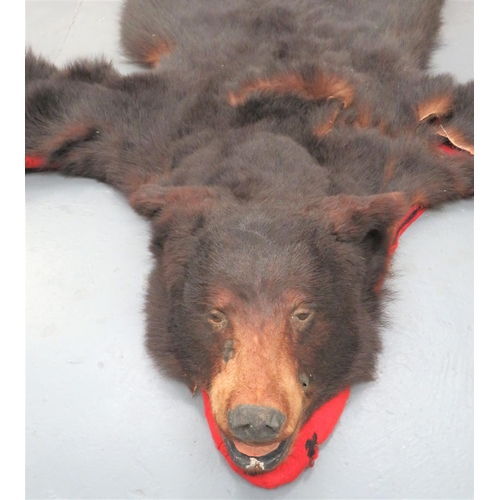 440 - Vintage Taxidermy Bearskin Rug
well done head.  Flat rug body.  Some damage.  Now mou... 